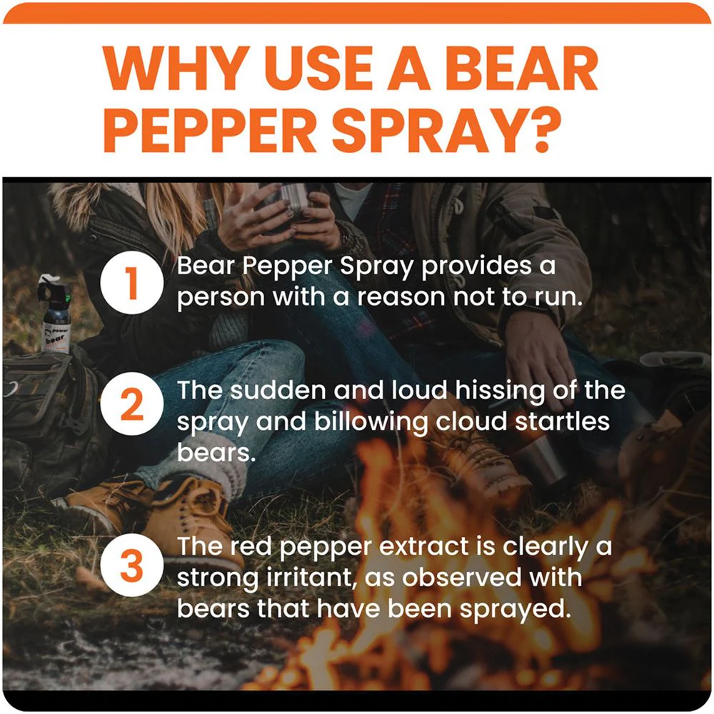 Bear Spray - Image 4