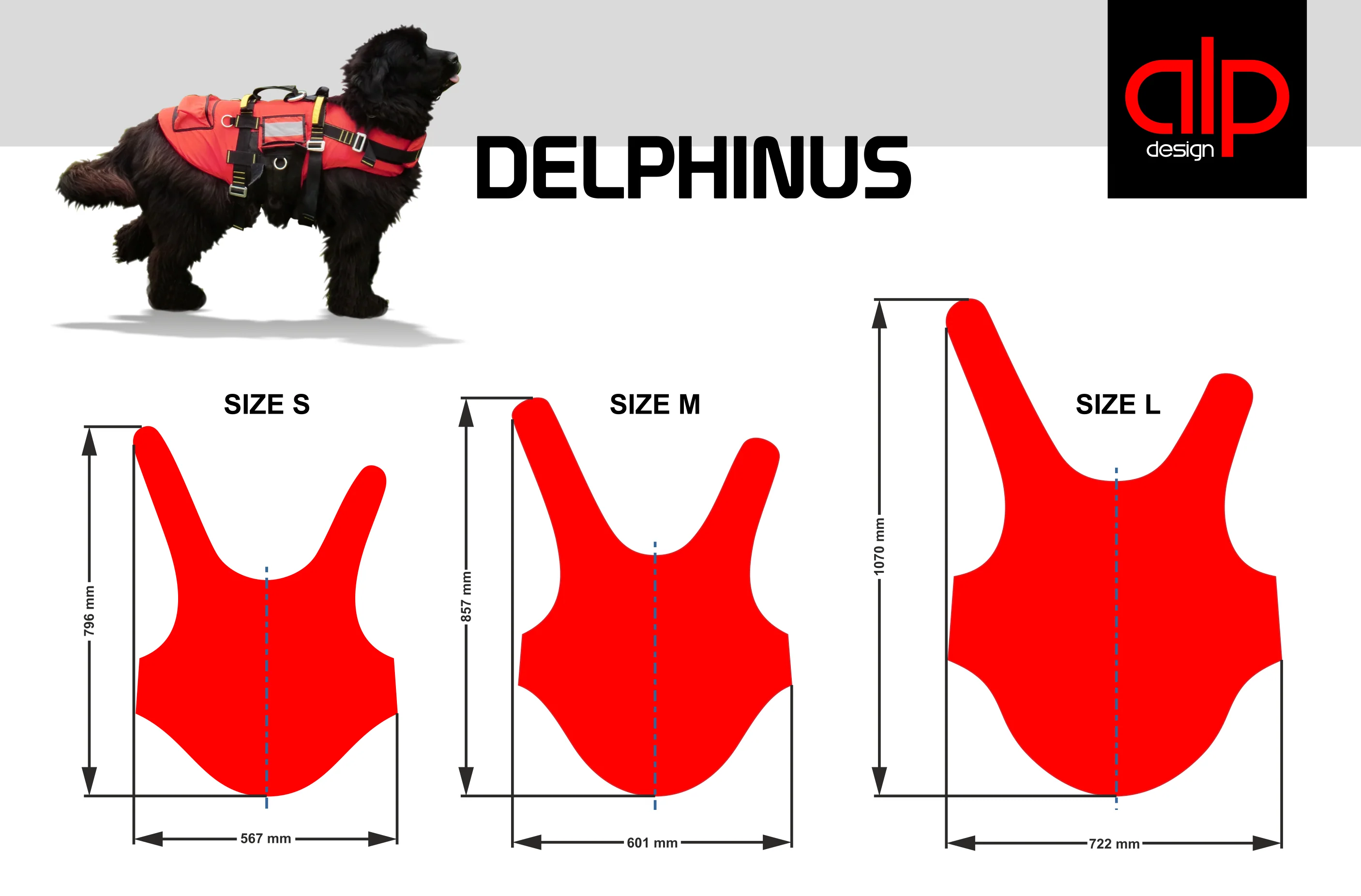 DELPHINUS - Image 12
