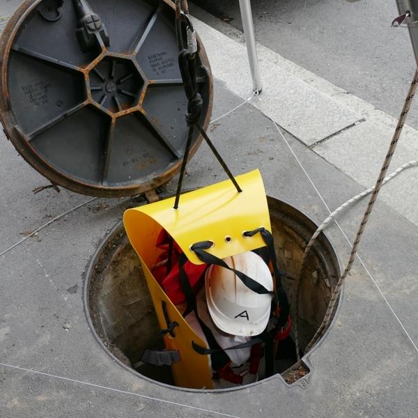 ROLLY - Image 13