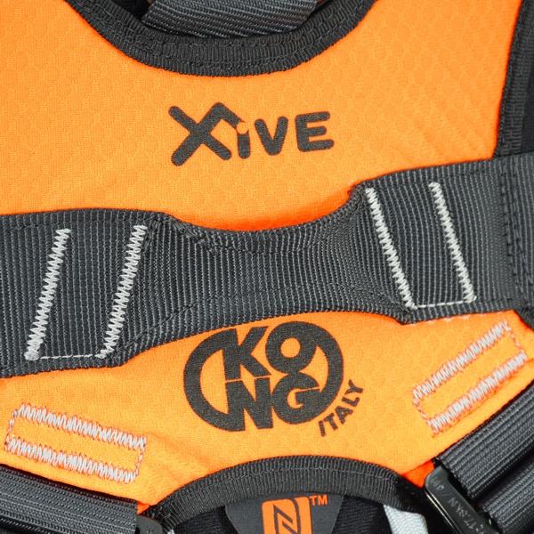X-FIVE FAST - Image 9